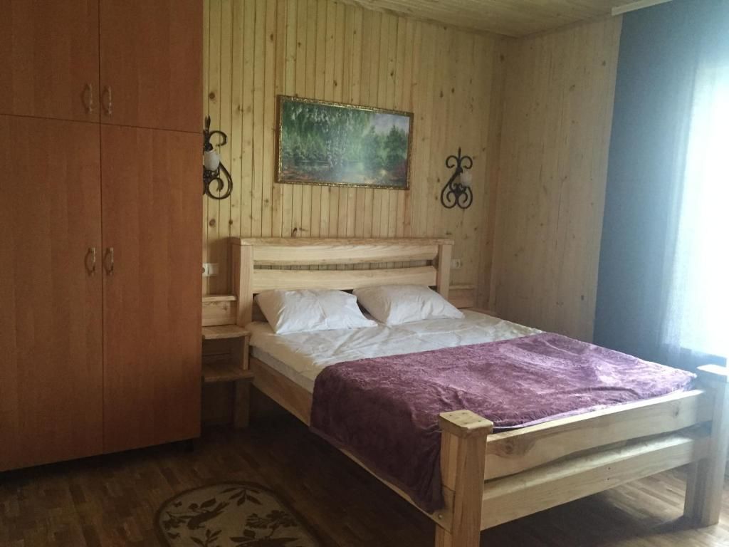 Отель Софія Martynkovtsy-14
