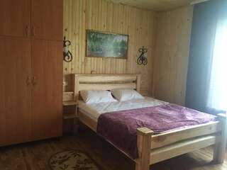 Отель Софія Martynkovtsy Двухместный номер с 1 кроватью-2